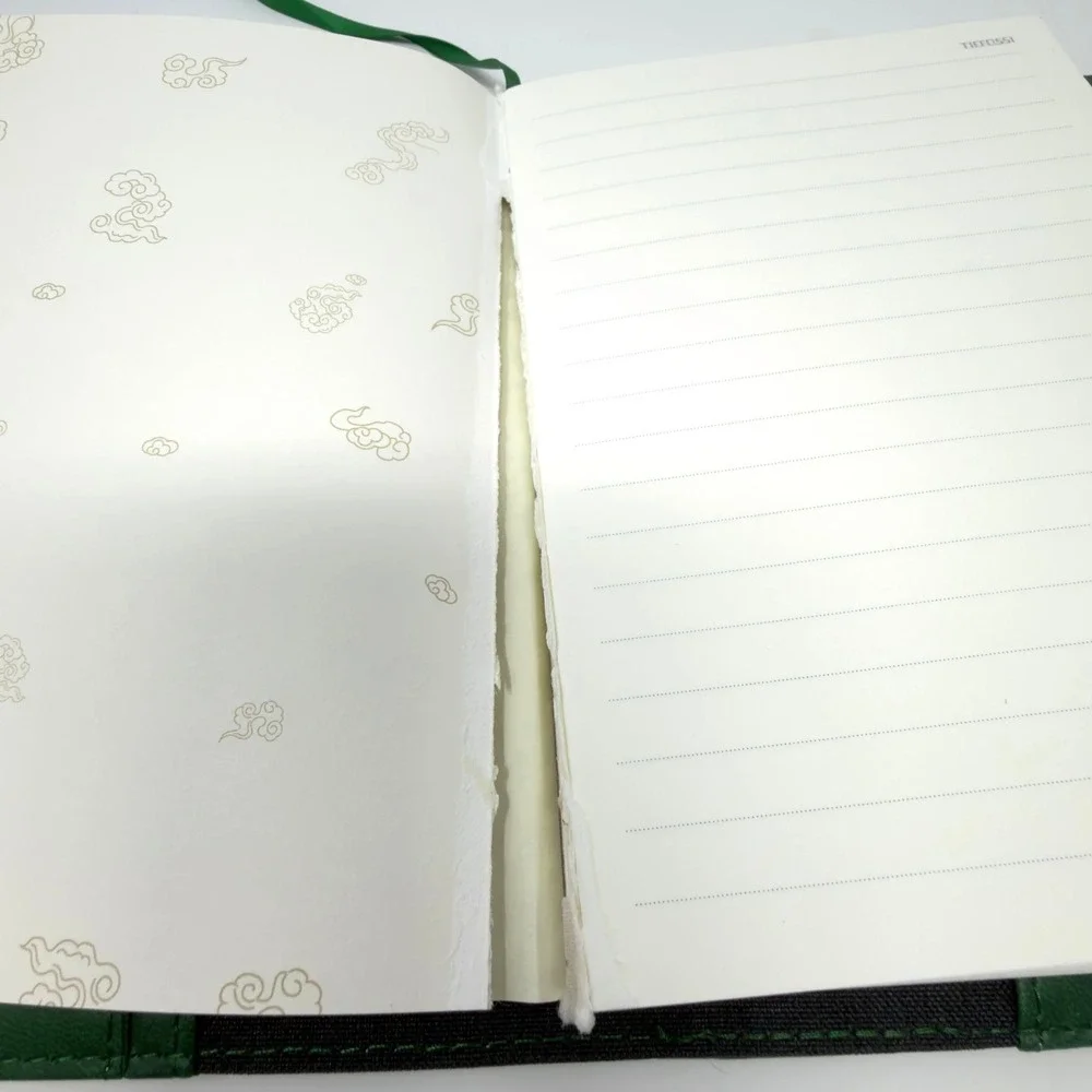 Tiefossi dragon notebook